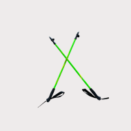 Active Walking poles